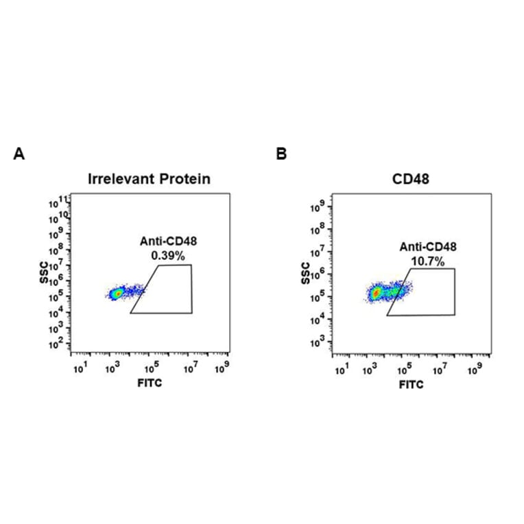 Flow Cytometry - Anti-CD48 Antibody [DM44] - BSA and Azide free (A318651) - Antibodies.com