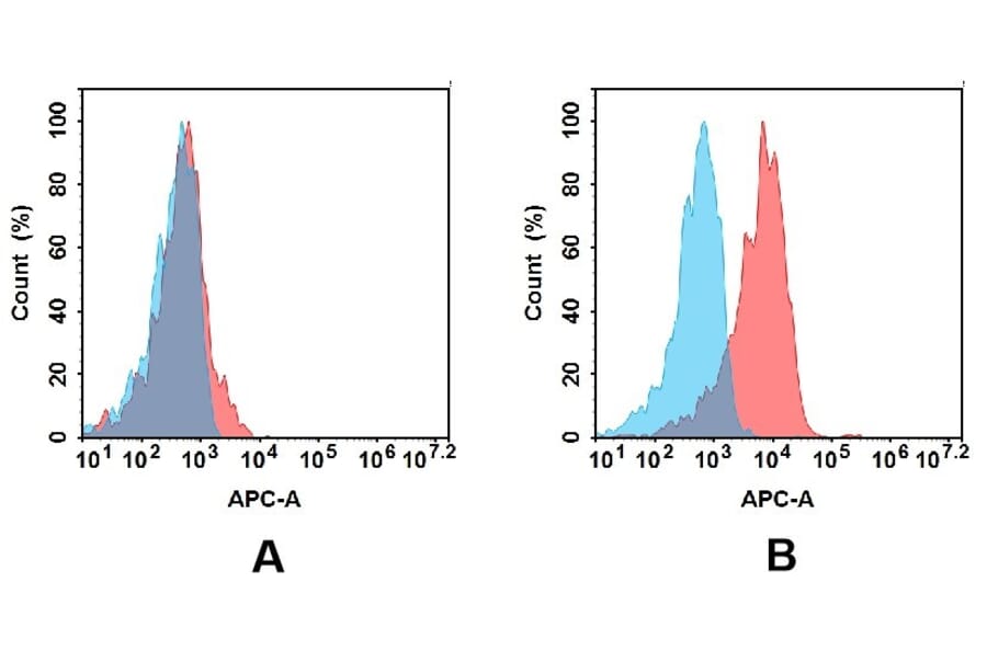 Flow Cytometry - Anti-CD48 Antibody [DM44] - BSA and Azide free (A318651) - Antibodies.com