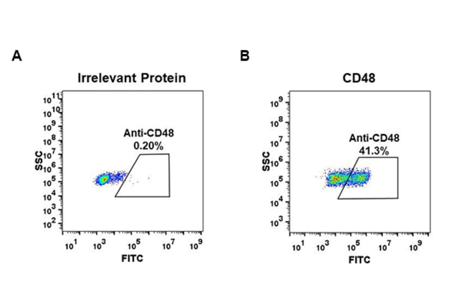 Flow Cytometry - Anti-CD48 Antibody [DM43] - BSA and Azide free (A318652) - Antibodies.com