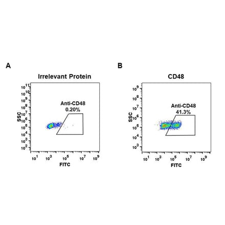 Flow Cytometry - Anti-CD48 Antibody [DM43] - BSA and Azide free (A318652) - Antibodies.com