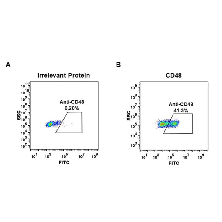 Flow Cytometry - Anti-CD48 Antibody [DM43] - BSA and Azide free (A318652) - Antibodies.com