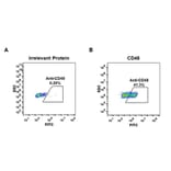Flow Cytometry - Anti-CD48 Antibody [DM43] - BSA and Azide free (A318652) - Antibodies.com