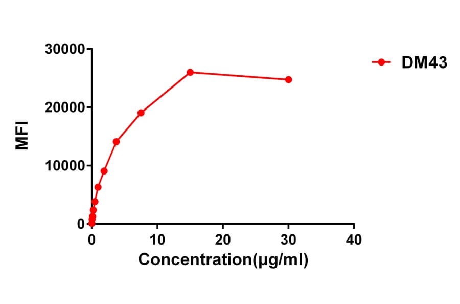 Flow Cytometry - Anti-CD48 Antibody [DM43] - BSA and Azide free (A318652) - Antibodies.com