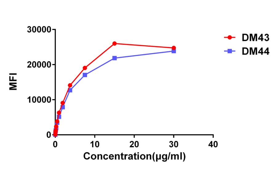 Flow Cytometry - Anti-CD48 Antibody [DM43] - BSA and Azide free (A318652) - Antibodies.com