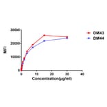 Flow Cytometry - Anti-CD48 Antibody [DM43] - BSA and Azide free (A318652) - Antibodies.com