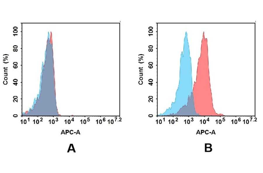 Flow Cytometry - Anti-CD48 Antibody [DM43] - BSA and Azide free (A318652) - Antibodies.com