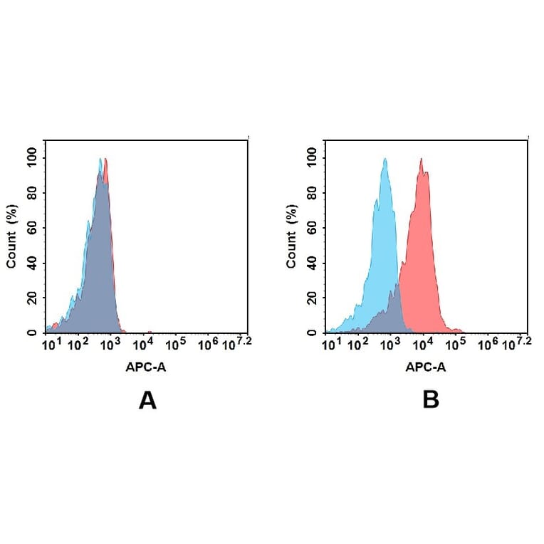 Flow Cytometry - Anti-CD48 Antibody [DM43] - BSA and Azide free (A318652) - Antibodies.com