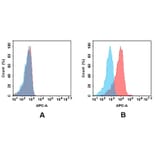 Flow Cytometry - Anti-CD48 Antibody [DM43] - BSA and Azide free (A318652) - Antibodies.com