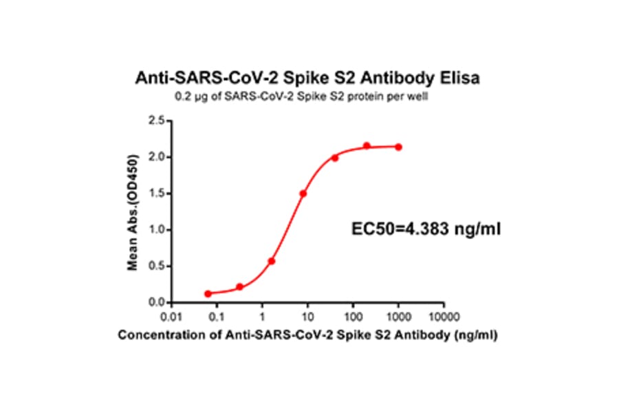 ELISA - Anti-SARS-CoV-2 Spike Glycoprotein Antibody [DM41] - Azide free (A318654) - Antibodies.com