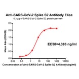 ELISA - Anti-SARS-CoV-2 Spike Glycoprotein Antibody [DM41] - Azide free (A318654) - Antibodies.com