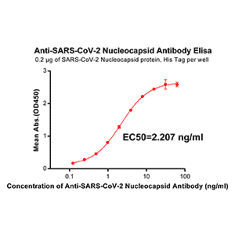 ELISA - Anti-SARS-CoV-2 Nucleocapsid Protein Antibody [DM37] - Azide free (A318658) - Antibodies.com
