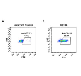 Flow Cytometry - Anti-IL3RA/CD123 Antibody [DM34] - BSA and Azide free (A318660) - Antibodies.com