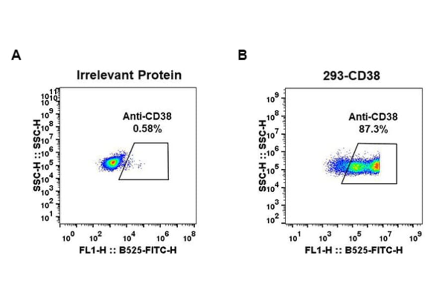 Flow Cytometry - Anti-CD38 Antibody [DM28] - BSA and Azide free (A318665) - Antibodies.com