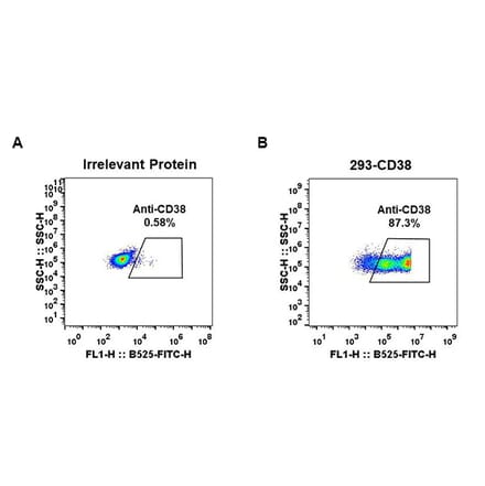 Flow Cytometry - Anti-CD38 Antibody [DM28] - BSA and Azide free (A318665) - Antibodies.com