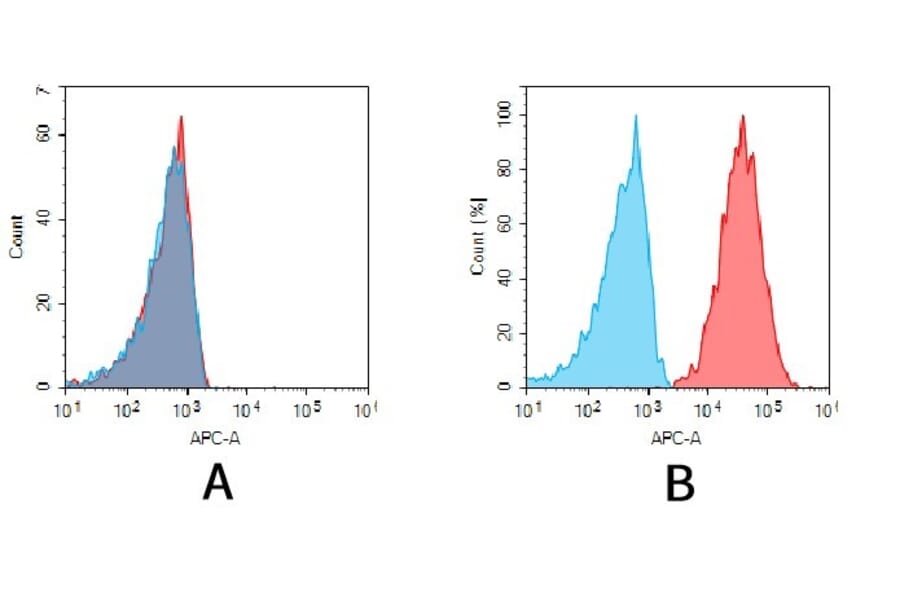 Flow Cytometry - Anti-CD38 Antibody [DM28] - BSA and Azide free (A318665) - Antibodies.com