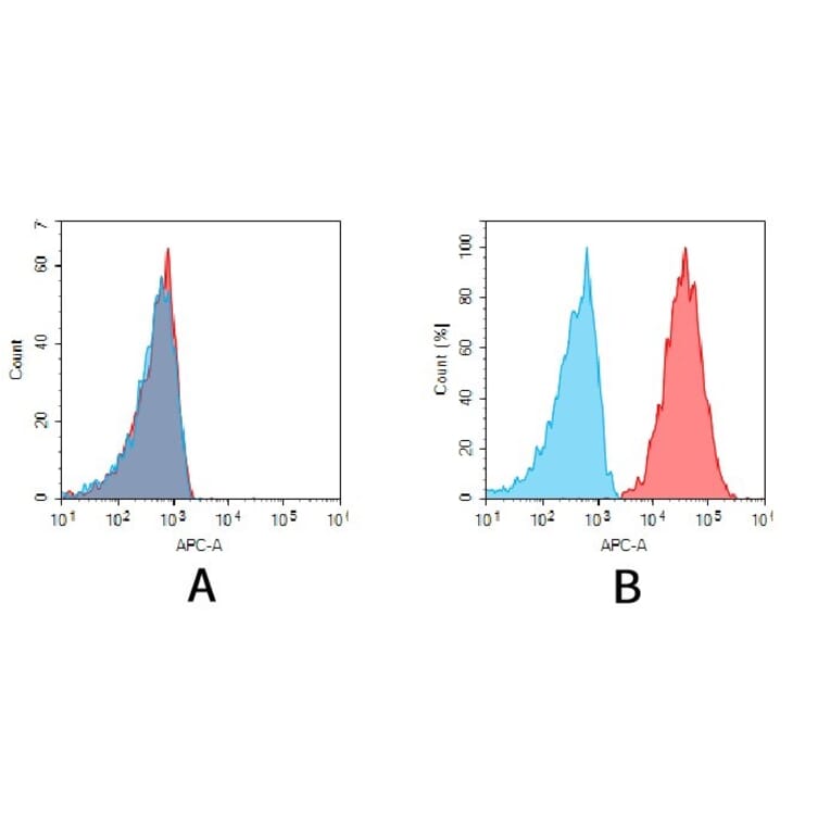 Flow Cytometry - Anti-CD38 Antibody [DM28] - BSA and Azide free (A318665) - Antibodies.com