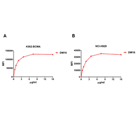 Flow Cytometry - Anti-BCMA Antibody [DM16] - Azide free (A318668) - Antibodies.com