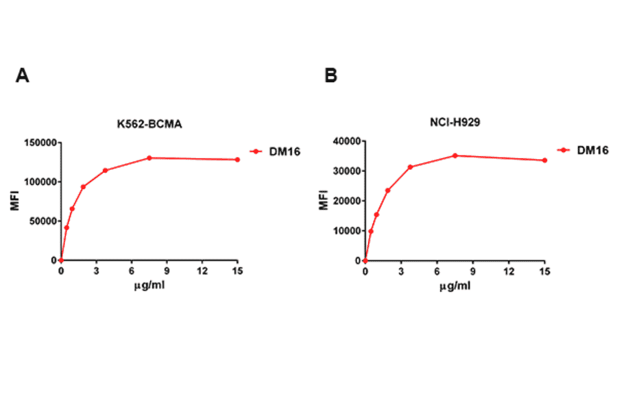 Flow Cytometry - Anti-BCMA Antibody [DM16] - Azide free (A318668) - Antibodies.com
