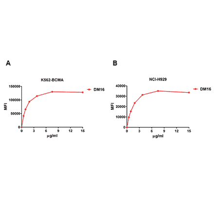 Flow Cytometry - Anti-BCMA Antibody [DM16] - Azide free (A318668) - Antibodies.com