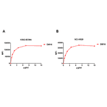 Flow Cytometry - Anti-BCMA Antibody [DM16] - Azide free (A318668) - Antibodies.com