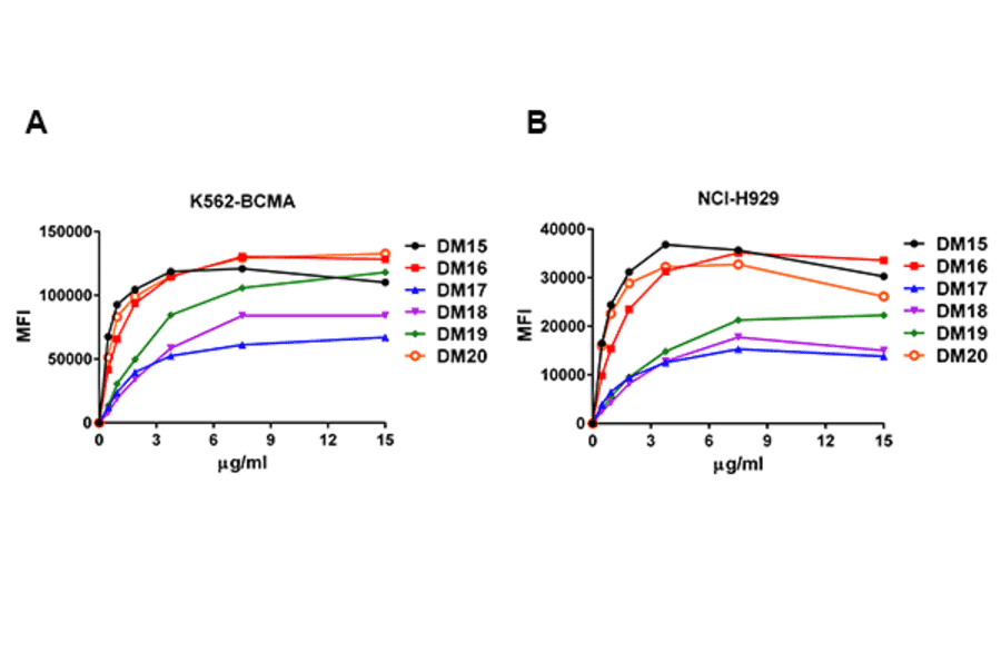 Flow Cytometry - Anti-BCMA Antibody [DM16] - Azide free (A318668) - Antibodies.com