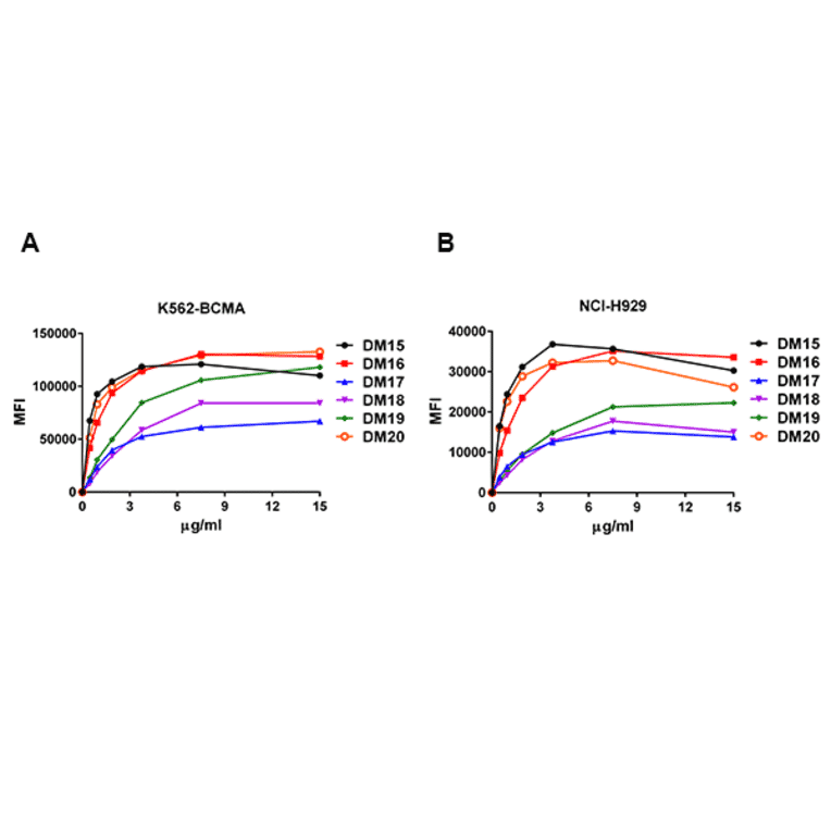 Flow Cytometry - Anti-BCMA Antibody [DM16] - Azide free (A318668) - Antibodies.com