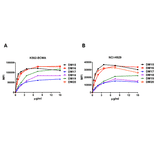 Flow Cytometry - Anti-BCMA Antibody [DM16] - Azide free (A318668) - Antibodies.com