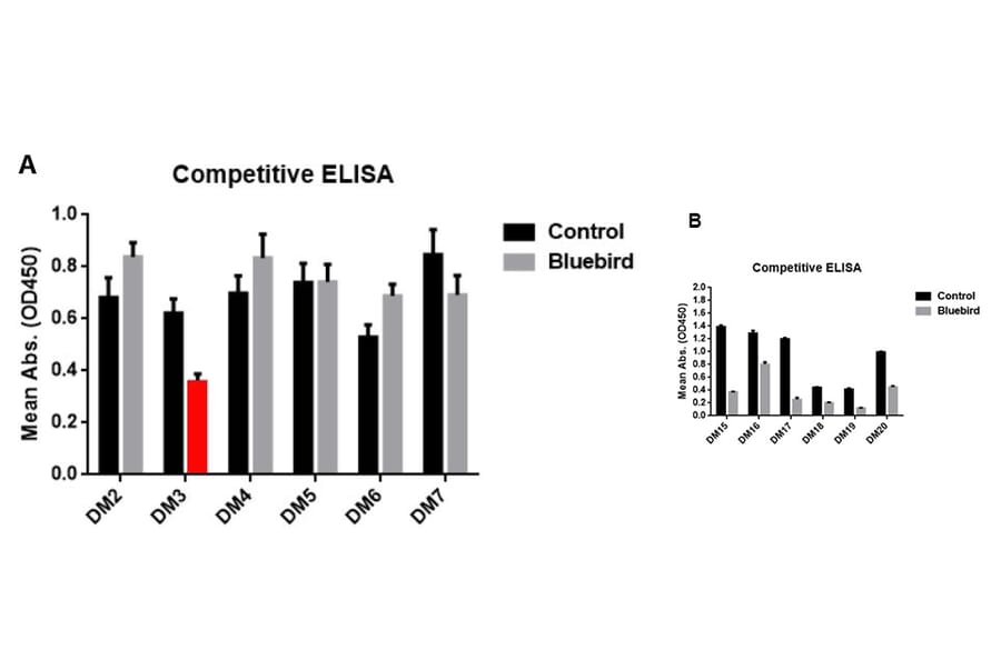 Phylogenetic Analysis - Anti-BCMA Antibody [DM16] - Azide free (A318668) - Antibodies.com