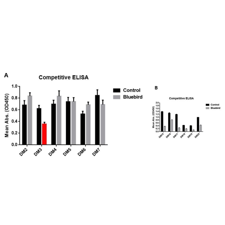 Phylogenetic Analysis - Anti-BCMA Antibody [DM16] - Azide free (A318668) - Antibodies.com