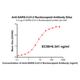 ELISA - Anti-SARS-CoV-2 Nucleocapsid Protein Antibody [DM22] - Azide free (A318672) - Antibodies.com