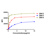 Flow Cytometry - Anti-CD22 Antibody [DM13] - BSA and Azide free (A318673) - Antibodies.com