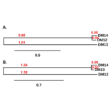 Phylogenetic Analysis - Anti-CD22 Antibody [DM13] - BSA and Azide free (A318673) - Antibodies.com