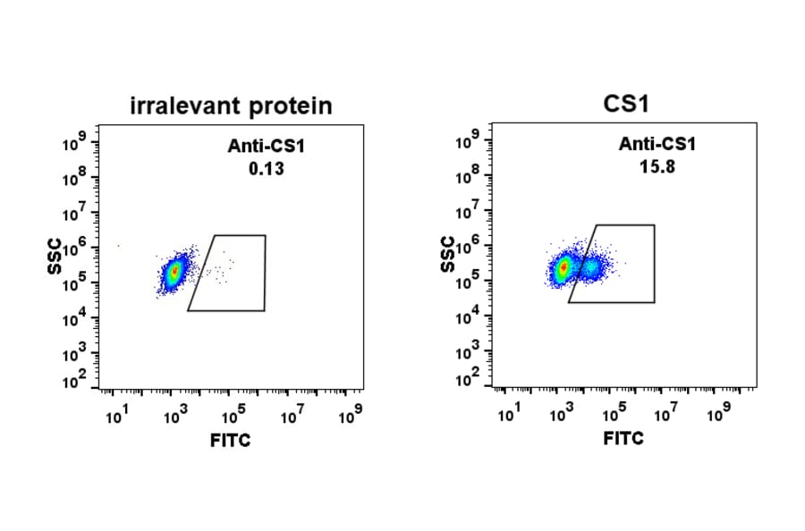 Flow cytometry - Recombinant Anti-SLAMF7/CS1 Antibody [DM9] - BSA and Azide free (A318676)