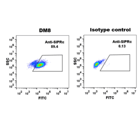Flow Cytometry - Anti-SIRP alpha Antibody [DM8] - Azide free (A318677) - Antibodies.com