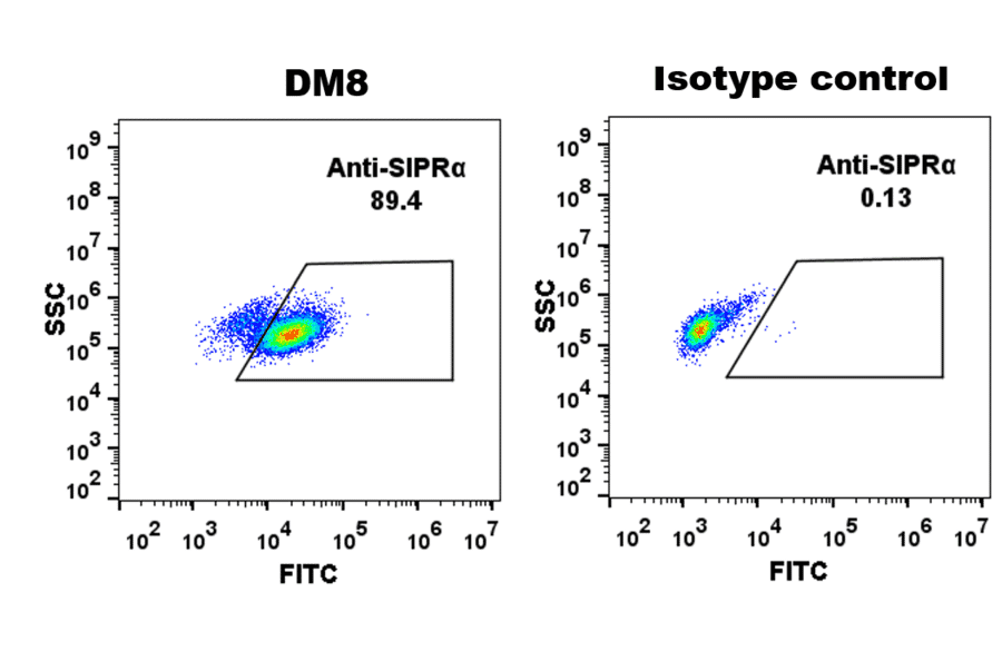 THP-1 cell line was surface stained Anti-SIRP alpha Antibody [DM8] - Azide free (A318677) at 1 µg/ml and isotype control followed by Anti-Rabbit IgG Antibody (Alexa 488).