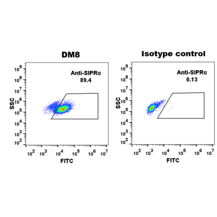 Flow Cytometry - Anti-SIRP alpha Antibody [DM8] - Azide free (A318677) - Antibodies.com