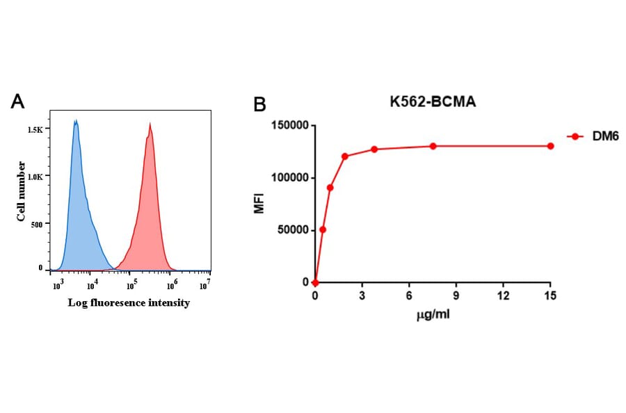 Flow Cytometry - Anti-BCMA Antibody [DM6] - BSA and Azide free (A318678) - Antibodies.com