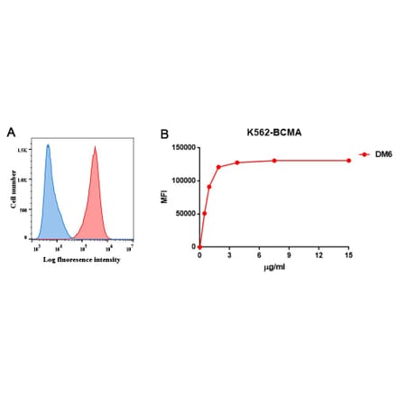 Flow Cytometry - Anti-BCMA Antibody [DM6] - BSA and Azide free (A318678) - Antibodies.com