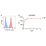 Flow Cytometry - Anti-BCMA Antibody [DM6] - BSA and Azide free (A318678) - Antibodies.com