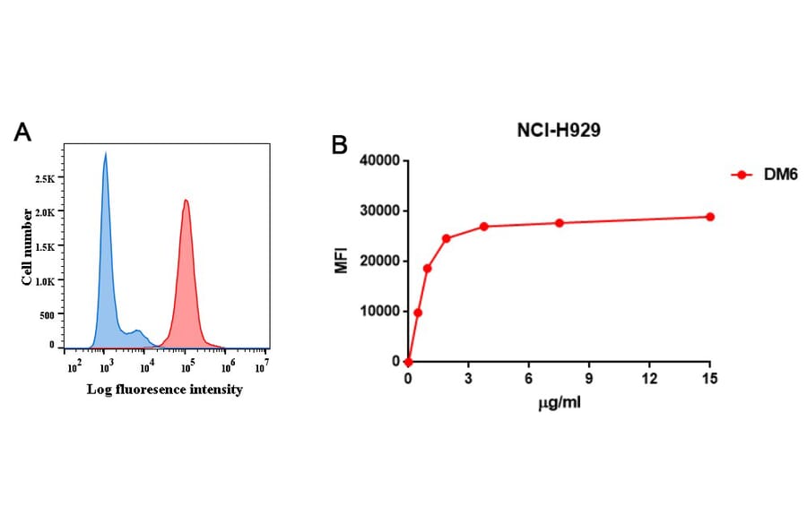 Flow Cytometry - Anti-BCMA Antibody [DM6] - BSA and Azide free (A318678) - Antibodies.com