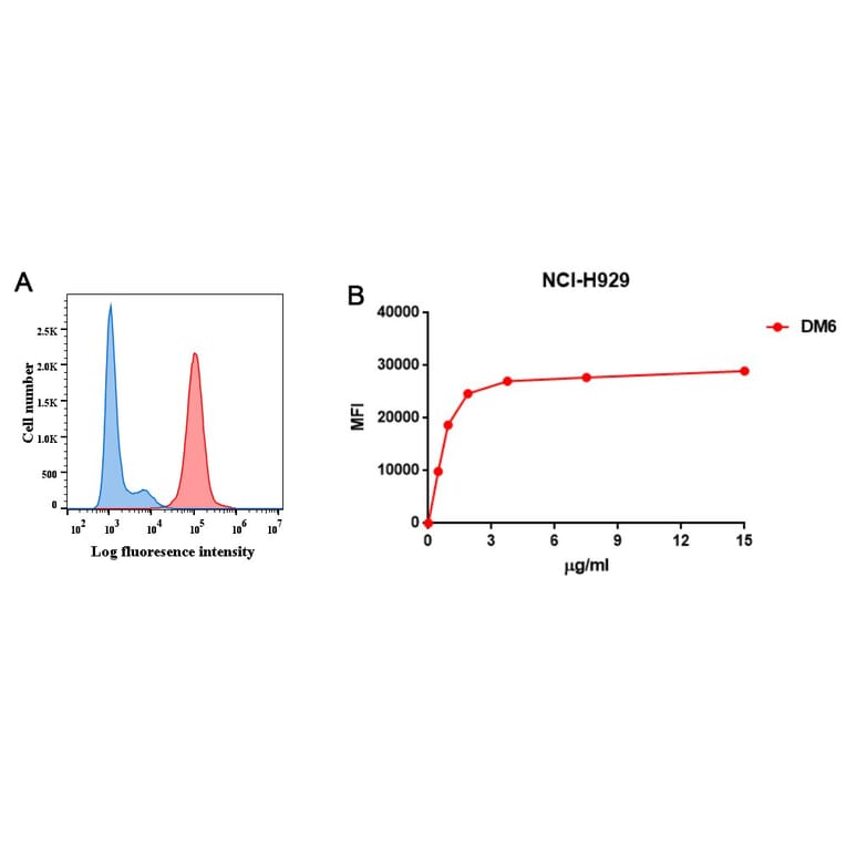 Flow Cytometry - Anti-BCMA Antibody [DM6] - BSA and Azide free (A318678) - Antibodies.com