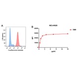 Flow Cytometry - Anti-BCMA Antibody [DM6] - BSA and Azide free (A318678) - Antibodies.com