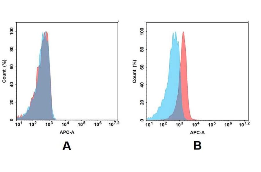 Flow Cytometry - Anti-BCMA Antibody [DM6] - BSA and Azide free (A318678) - Antibodies.com