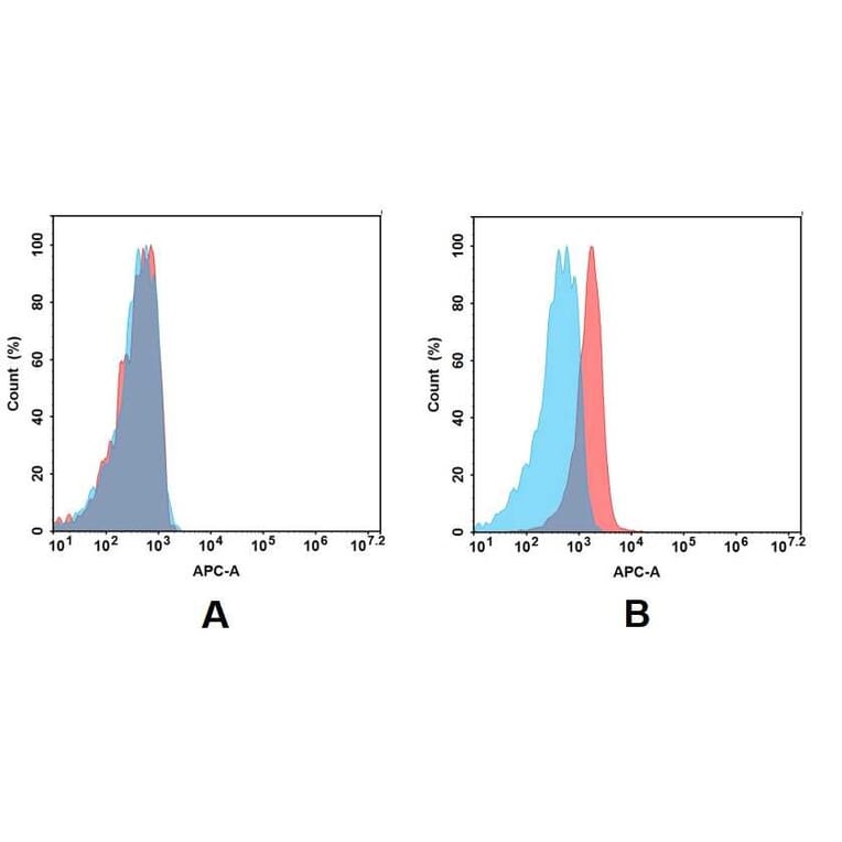 Flow Cytometry - Anti-BCMA Antibody [DM6] - BSA and Azide free (A318678) - Antibodies.com