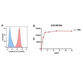 Flow Cytometry - Anti-BCMA Antibody [DM4] - BSA and Azide free (A318679) - Antibodies.com