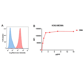 Flow Cytometry - Anti-BCMA Antibody [DM4] - Azide free (A318679) - Antibodies.com