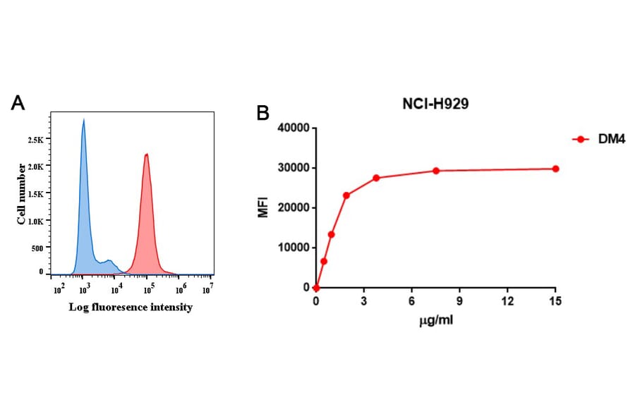 Flow Cytometry - Anti-BCMA Antibody [DM4] - BSA and Azide free (A318679) - Antibodies.com