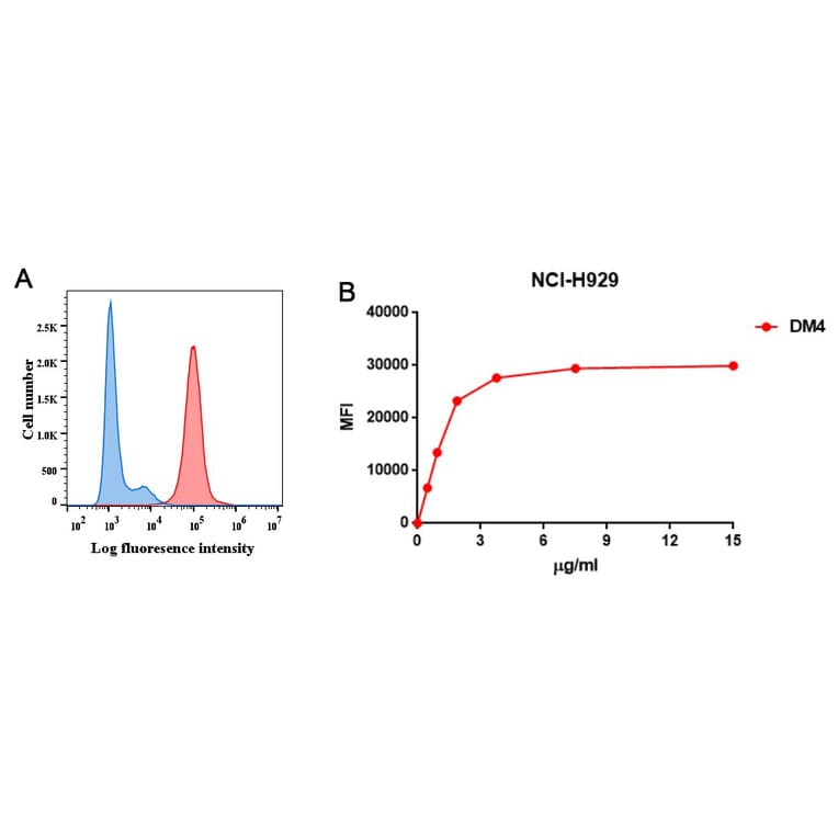 Flow Cytometry - Anti-BCMA Antibody [DM4] - BSA and Azide free (A318679) - Antibodies.com