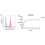 Flow Cytometry - Anti-BCMA Antibody [DM4] - BSA and Azide free (A318679) - Antibodies.com