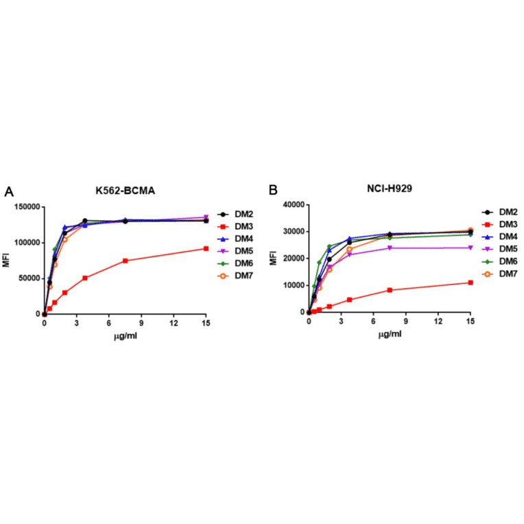 Flow Cytometry - Anti-BCMA Antibody [DM4] - BSA and Azide free (A318679) - Antibodies.com